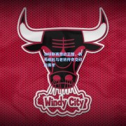 冰球联赛激战正酣，新秀崛起与老将传奇交织的赛季