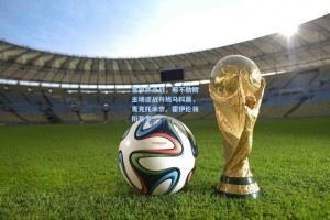 意甲焦点战，那不勒斯主场迎战升班马科莫，麦克托米奈、霍伊伦领衔首发