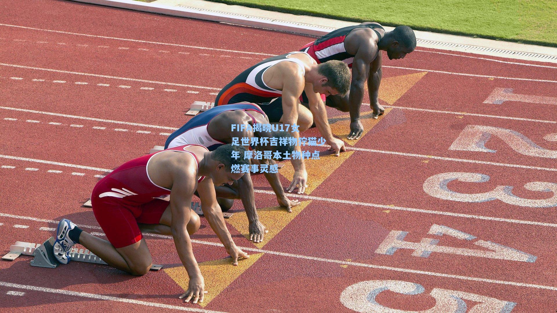 FIFA揭晓U17女足世界杯吉祥物狞猫少年 摩洛哥本土物种点燃赛事灵感